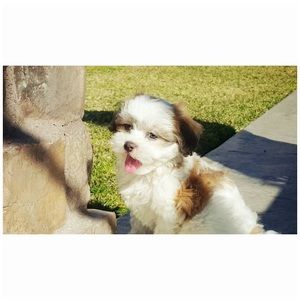 Meet your Posher, Soledad